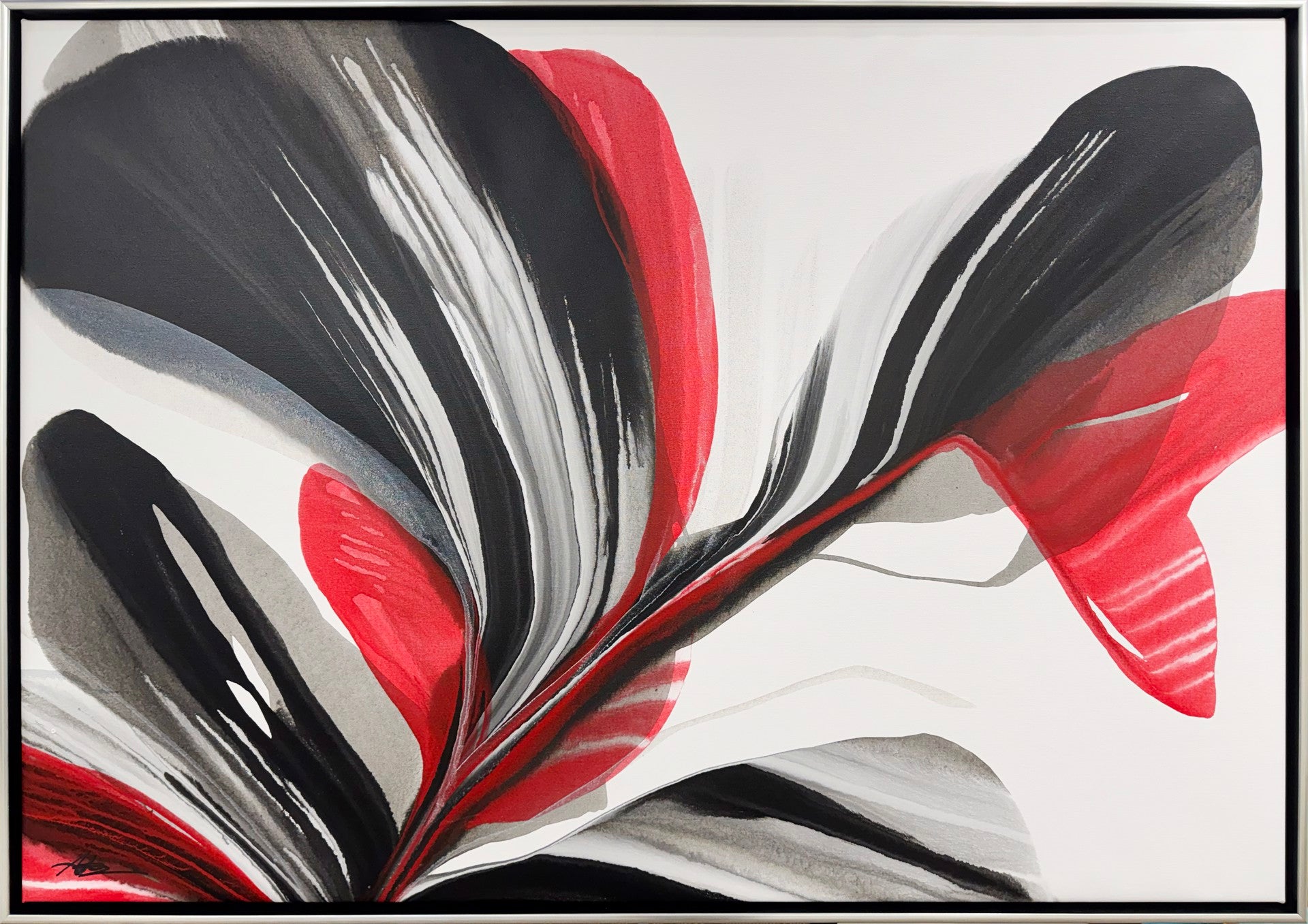 Onyx Rose By Antonio Molinari