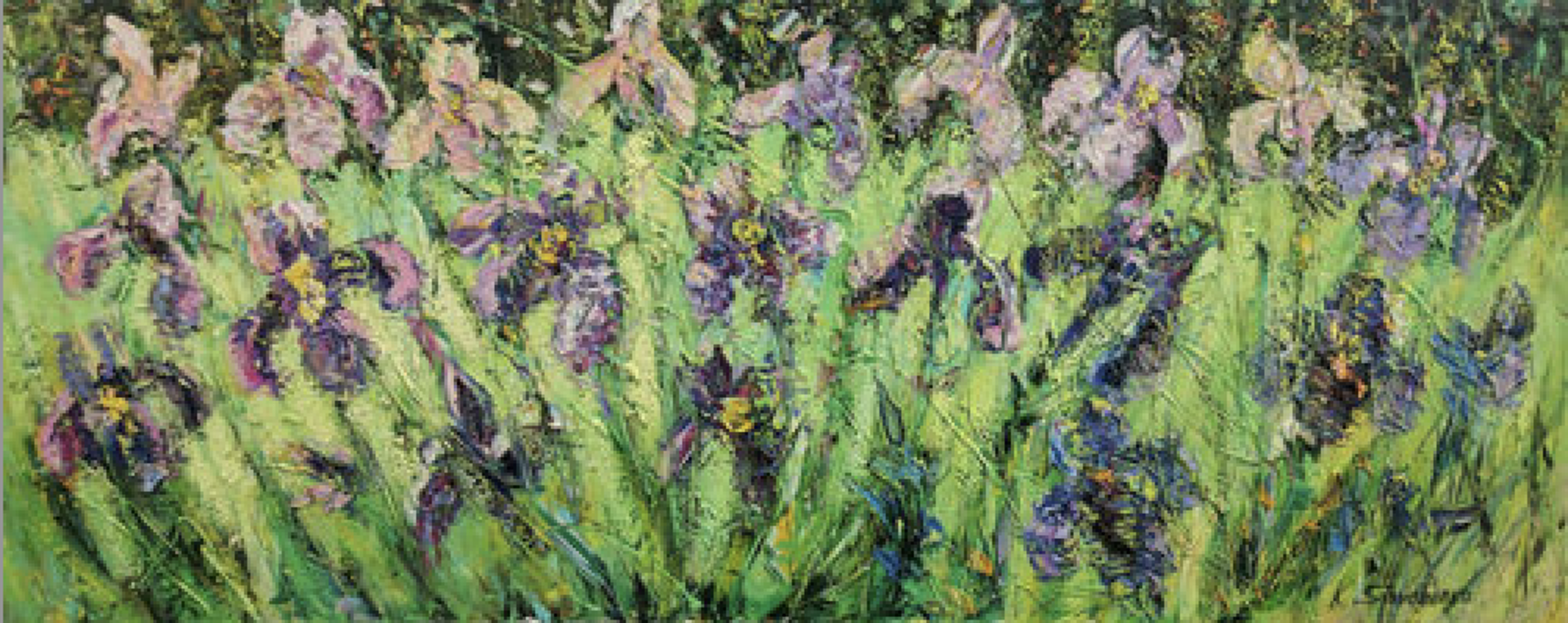 Sunny Irises By Konstantin Savchenko