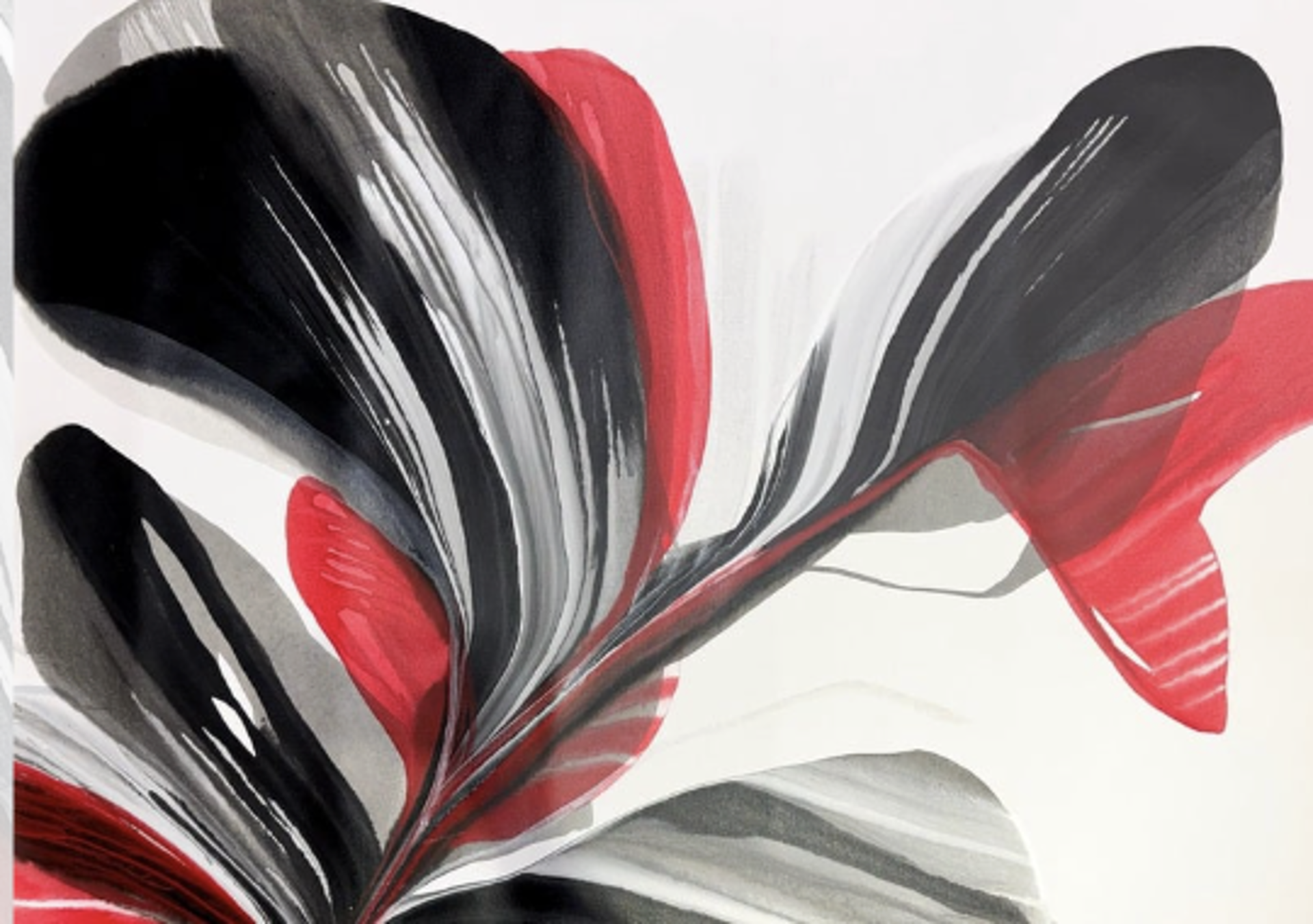 Onyx Rose By Antonio Molinari